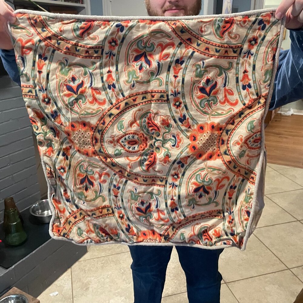 Pottery Barn - Rustic Paisley Euro Sham Set (2x)